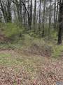 Lot 11, 0.91 ac Dry Creek Road - Photo 3