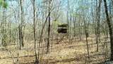 40 acres County Road 492 - Photo 12