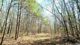 40 acres County Road 492 - Photo 14