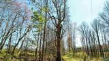40 acres County Road 492 - Photo 15