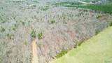 40 acres County Road 492 - Photo 16