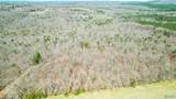 40 acres County Road 492 - Photo 17