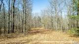 40 acres County Road 492 - Photo 2