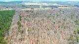 40 acres County Road 492 - Photo 20