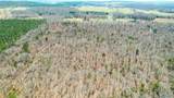 40 acres County Road 492 - Photo 21