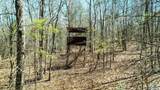 40 acres County Road 492 - Photo 4