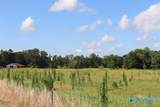 12.8 Acres Hobb Ward Road - Photo 11