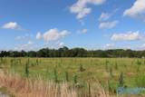 12.8 Acres Hobb Ward Road - Photo 13