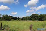 12.8 Acres Hobb Ward Road - Photo 4