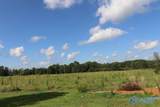 12.8 Acres Hobb Ward Road - Photo 8