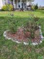 3321 County Road 369 - Photo 5