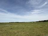 64 Acres +/- Bluff Road - Photo 13