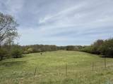 64 Acres +/- Bluff Road - Photo 14