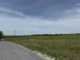 64 Acres +/- Bluff Road - Photo 18
