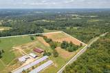 64 Acres +/- Bluff Road - Photo 19