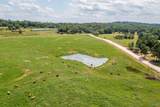 64 Acres +/- Bluff Road - Photo 4