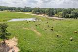 64 Acres +/- Bluff Road - Photo 5