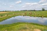 64 Acres +/- Bluff Road - Photo 6