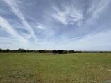 64 Acres +/- Bluff Road - Photo 7