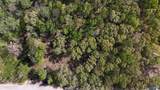LOT 28 County Road 279 - Photo 15