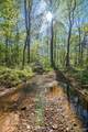 LOT 28 County Road 279 - Photo 7