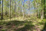 LOT 28 County Road 279 - Photo 8