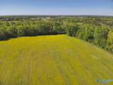 77 +/- ACRES Parker Road - Photo 13