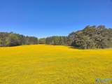 77 +/- ACRES Parker Road - Photo 14