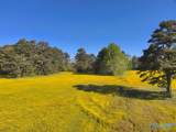 77 +/- ACRES Parker Road - Photo 15