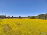 77 +/- ACRES Parker Road - Photo 16