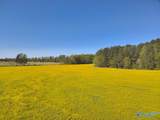 77 +/- ACRES Parker Road - Photo 28