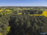 77 +/- ACRES Parker Road - Photo 39