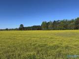 77 +/- ACRES Parker Road - Photo 4