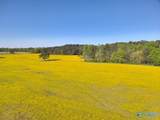 77 +/- ACRES Parker Road - Photo 6