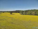 77 +/- ACRES Parker Road - Photo 7