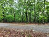 Lot 0 Huskey Mountain Road - Photo 11