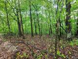 Lot 0 Huskey Mountain Road - Photo 2