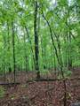 Lot 0 Huskey Mountain Road - Photo 3