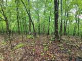 Lot 0 Huskey Mountain Road - Photo 4