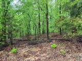 Lot 0 Huskey Mountain Road - Photo 5