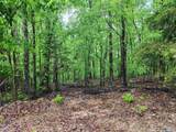 Lot 0 Huskey Mountain Road - Photo 6
