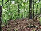 Lot 0 Huskey Mountain Road - Photo 7