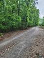 Lot 0 Huskey Mountain Road - Photo 8