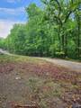 Lot 0 Huskey Mountain Road - Photo 9