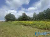 PIN 63868 Old Railroad Bed Road - Photo 11