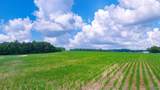 14 ACRES County Road 62 - Photo 5