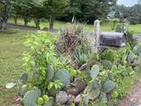 2105 County Road 102 - Photo 45