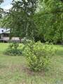2585 County Road 67 - Photo 9