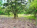 741 County Road 325 - Photo 4