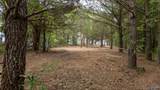 Lot 16 County Road 462 - Photo 6